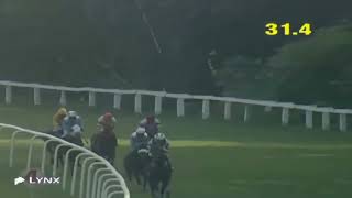 GUARNERIUS  wins The Lalbagh Plate Div2  Delhi [upl. by Sivia]