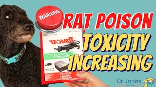 Rat Poison Toxicity in Dogs [upl. by Aknaib]