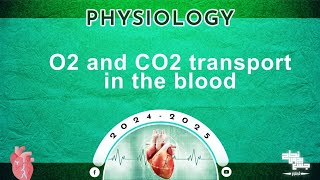 Revision of L56 the transport of CO2 and oxygen in the blood physiology [upl. by Nalra]