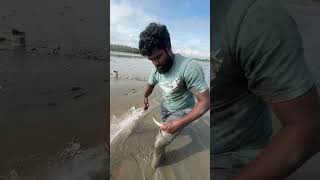 Chepala వేట🦈kakinadaabbaisuryayoutubeshortsfishingfishfishingvideofishinglifereelstrending [upl. by Ateloj]