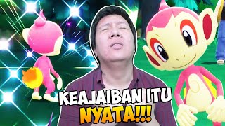 UJIAN KESABARAN TERBESAR AKHIRNYA MONYET PINK MUNCUL Pokemon BDSP [upl. by Finnie346]