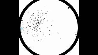 Worm Chemotaxis [upl. by Latif329]