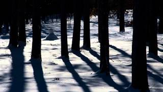 Snowbound by Genesis in 1080p HD [upl. by Luanne]