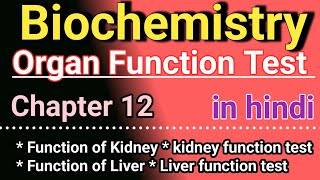 Organ Function test in hindi  Biochemistry chapter 12 in hindi [upl. by Noryahs]