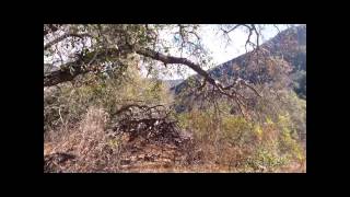 Tony Alvis Trail Casitas Springs California [upl. by Telrats98]