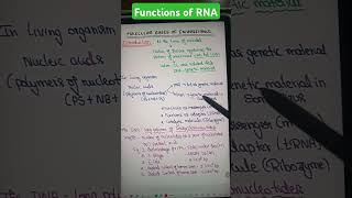 rnaribozome trnaneet neetncertbiology molecularbasisofinheritanceclass12 molecularbiology [upl. by Gerik]