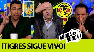 Herc “OJO LAS ÚLTIMAS 4 ESTRELLAS DE TIGRES SON DE VISITANTE” [upl. by Rita]