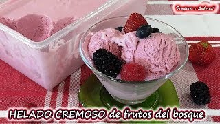 HELADO CREMOSO DE FRUTOS DEL BOSQUE natural fácil y delicioso [upl. by Ydak748]