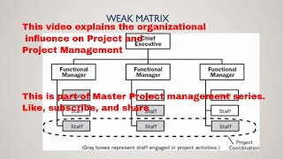 PMP® What is Weak Matrix Organization  Urdu [upl. by Daisy]