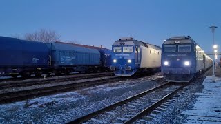 Trenuri  Trains  Titu  10012024 [upl. by Idette]