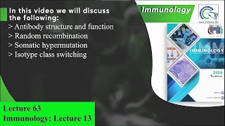 Antibody structure and function  Random recombination  Somatic hypermutation  class switching [upl. by Nottage]