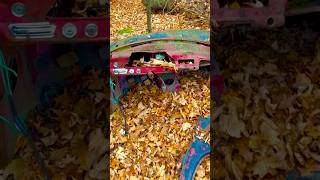 Abandoned car in the forest nature car canada forestabandoned [upl. by Doreg]