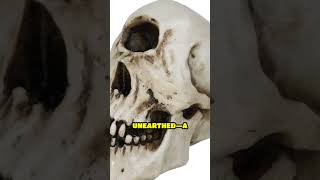 Ancient Cyclops Skull Found in Indonesia Myth Becomes Reality [upl. by Ahseyi663]