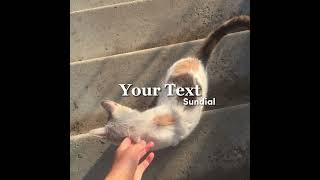 ⌗ ˒ Your Text ᎓ Sundial【 sped up 】 [upl. by Eeclehc705]