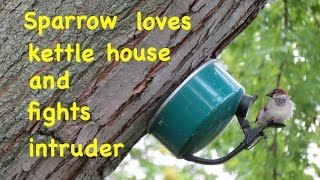 How to make ● A SIMPLE BIRD HOUSE [upl. by Trescha]