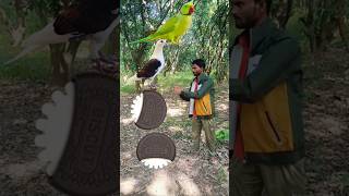 Rounding coffee biscuit to  peacock pegion parrot  funny vfx [upl. by Reinhard528]