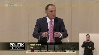 Peter Wurm  Wiener Mindestsicherung RHBericht  1652018 [upl. by Guy]