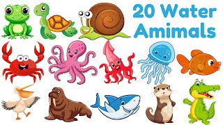 20 Water Animals Names in English amp Hindi  Kids Vocabulary  Water Animals [upl. by Einra]