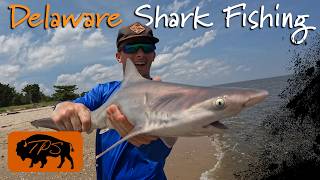 4 Days Shark Fishing and Camping The Delaware Coast [upl. by Anitsirhcairam699]