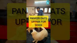 Veg Dog Food Recipe  Paneer Oats Uppma  Oats meal with Cottage Cheese [upl. by Petr658]