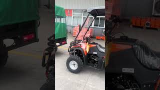 Zongshen 250cc 300cc engine quad bike farmvehicle [upl. by Ahsikel]