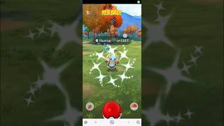 Yes bro Shiny Illumise in Pokémon Go yesbro pokemon shiny illumise pokemongo shinypokemon [upl. by Euqinu]