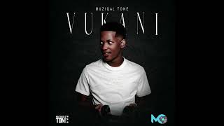 Muziqal Tone  Vukani ft Amu ClassicKappieMkeyzFrankeys [upl. by Pape944]