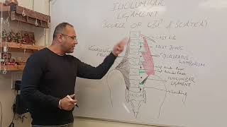 Biomechanics of Iliolumbar Ligament  A Potential source of Lower Back Pain and Sciatica [upl. by Calmas]