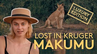 LUXURY safari in KRUGER  Makumu in the Klaserie 4K [upl. by Shushan]