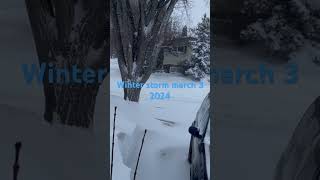 Winter storm  North Battleford Saskatchewan  March 3 2024 [upl. by Giraldo]