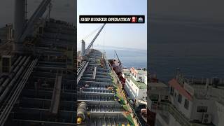 SHIP BUNKERING OPERATION⛽ merchantvessel viralahorts vlog youtubeshorts 🚢⛽ [upl. by Eanert321]