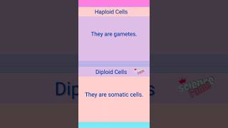 Haploid vs Diploid Cells [upl. by Yecnahc]