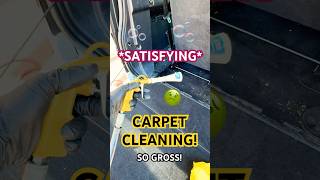 Anyone Want to Help 😩 reels shorts carpetcleaning detailing landrover youtube fyp vacuum [upl. by Sitelc]