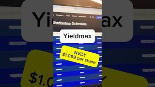 Yieldmax  NVDY dividend rate  October 2024 [upl. by Daye]