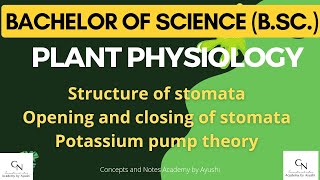 Structure of stomata  Mechanism of opening amp closing of stomata  K transport theory  By Ayushi [upl. by Ahlgren]