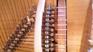 Organistrum amp Octaved Violin [upl. by Eramat925]