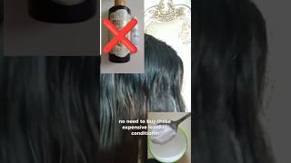 Diy leave in conditioner which promotes hair growth shortfeed fypyoutube ytshorts shorts [upl. by Engvall]