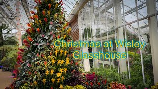 Vlog 135  Christmas at Wisley glasshouse [upl. by Inhsor]