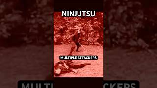 TOMO RYU SHINOBIJUTSU  Historical Ninjutsu Training 🥷🏻 Shorts Ninjutsu MartialArts [upl. by Bradan498]