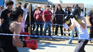 Bakersfield Boxing 12 Gustavo vs Marv0 II [upl. by Woermer]