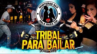 Tribal Para Bailar Edicion 2021  Pala Raza Vip [upl. by Aihn]