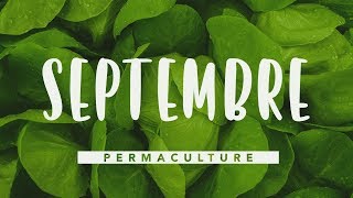 Que faire dans son jardin permaculture en septembre   permaculture [upl. by Joselow714]