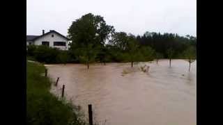 Hochwasser am 02062013 im Förgenthal bei Tacherting [upl. by Abehsile]