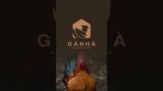 Thiết Kế Logo 🏡 GÀ NHÀ 🐓 DBZDesignVietNam thietkelogo logo design [upl. by Lee]