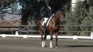 Equestrians Its my life remix [upl. by Jonathan]