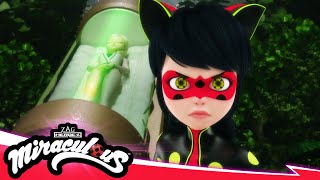 MIRACULOUS  🐞 RECREATION  Akumatized 🐾  SEASON 5  Tales of Ladybug amp Cat Noir [upl. by Irroc]