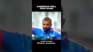 Wicket machine indian bowler mo Shami  shorts cricket trending viralvideo tataipl video [upl. by Scutt]