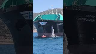 😱 LNG SHIP DROP ANCHOR AT Gibraltar STREET seaman ship [upl. by Stoll]