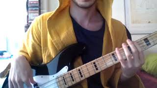 Bjork  Play Dead Bass Cover [upl. by Ayerf]