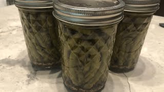 How To Make Pickled Green Beans Dilly Beans [upl. by Sivrup323]